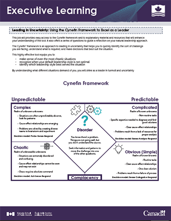 Using the Cynefin Framework to Excel as a Leader 