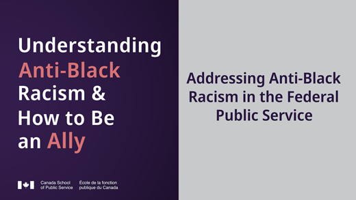 Addressing Anti-Black Racism in the Federal Public Service